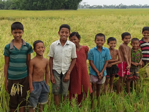 Twenty Years of Enriching Diets with Biofortification