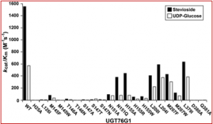 Molecular basis for branched steviol glucoside biosynthesis