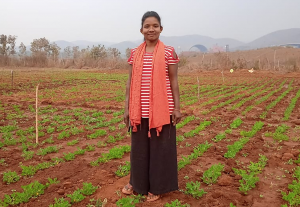 ICRISAT Empowers Innovative Farmer to Establish Groundnut Crop Cafeteria in Odisha, India