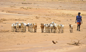 Multiple shocks keep pushing world further away from development targets