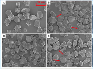 Moderate Reduction in Nitrogen Fertilizer Results in Improved Rice Quality by Affecting Starch Properties without Causing Yield Loss