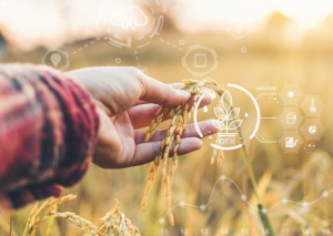Review of Wearable Sensors for Plant Health Monitoring