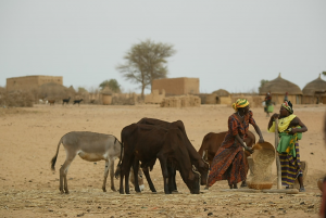 Towards gender equality: A novel index to measure the empowerment of women in livestock keeping households