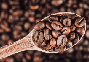 New Reference Genome of Arabica Depicts Its History and Future