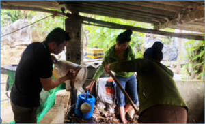 SAPLING assessment shows livestock farmer groups have increased adoption of innovative practices in Vietnam