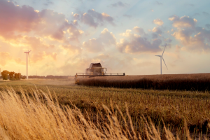 Sustainable Agriculture Contributes to Achieving Zero Hunger