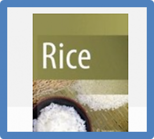 Genome editing in rice 