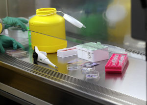 COVID-19 Virus Can Survive 28 Days on Surfaces