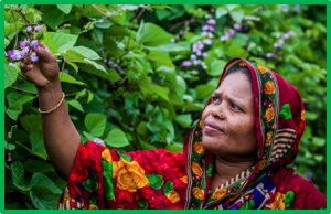 Three reasons to invest in land tenure security