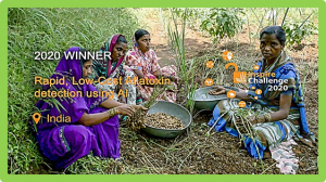 Aflatoxin rapid detection technology wins big data inspire challenge 2020