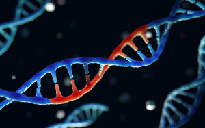 Gen Zs Lead Strong Support for Gene Editing in UK