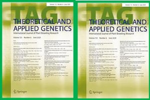 Revisiting hybrid breeding designs using genomic predictions: simulations highlight the superiority of incomplete factorials between segregating families over topcross designs