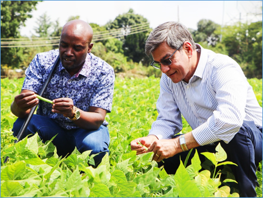 A Learning Event at Kamaget Secondary School: Linking Agriculture, Nutrition, and Education for Better Nutrition and Farm Incomes