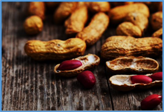 A major qualitative trait locus increases antioxidant activity in testaless peanut seeds