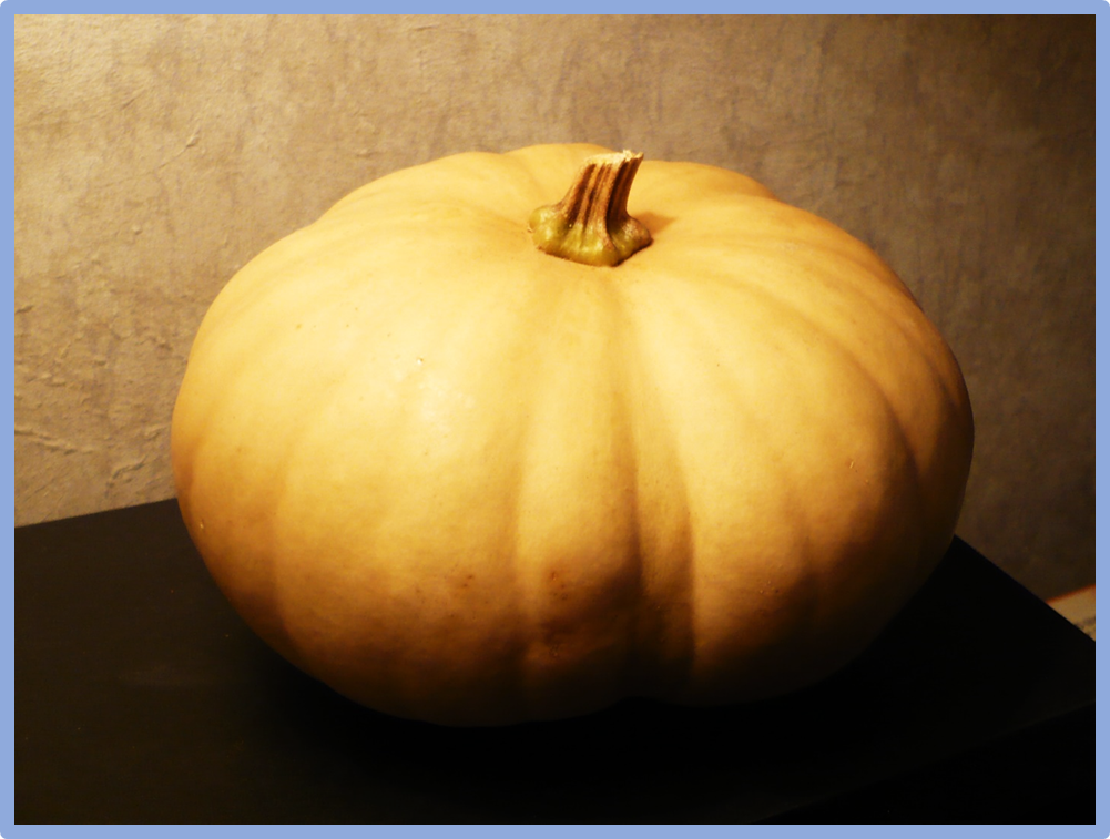 A mutation in CmoBADH results in the production of 2-acetyl-1-pyrroline, conferring a &lsquo;taro-like&rsquo; aroma in Cucurbita moschata