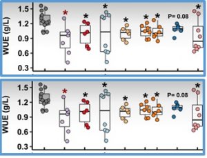 Natural variation identifies new effectors of water-use efficiency in Arabidopsis