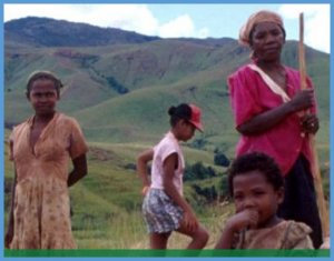COVID-19 and food security | Limiting the impact of the crisis on rice value chains in West Africa