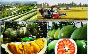 Vietnam Agriculture In 2024: Accelerate Creativity & Sustainable Efficiency