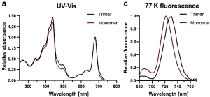 Cryo-EM structure of a functional monomeric Photosystem I from Thermosynechococcus elongatus reveals red chlorophyll cluster