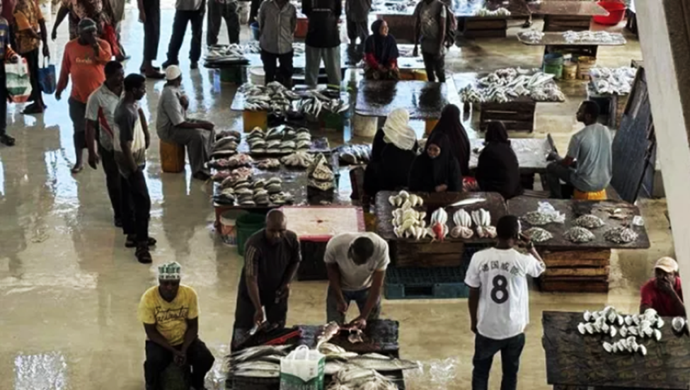 Can Better Fish Processing Improve Diets Without Undermining Local Nutrition?