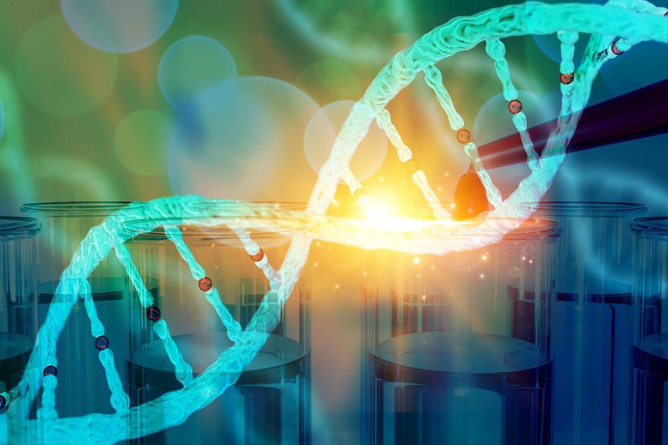 Compact Cas9d Enzyme is a Promising Genome-Editing Tool