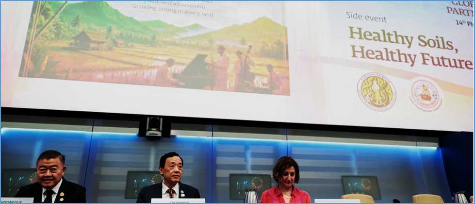 Director-General stresses need for critical investments in soil health