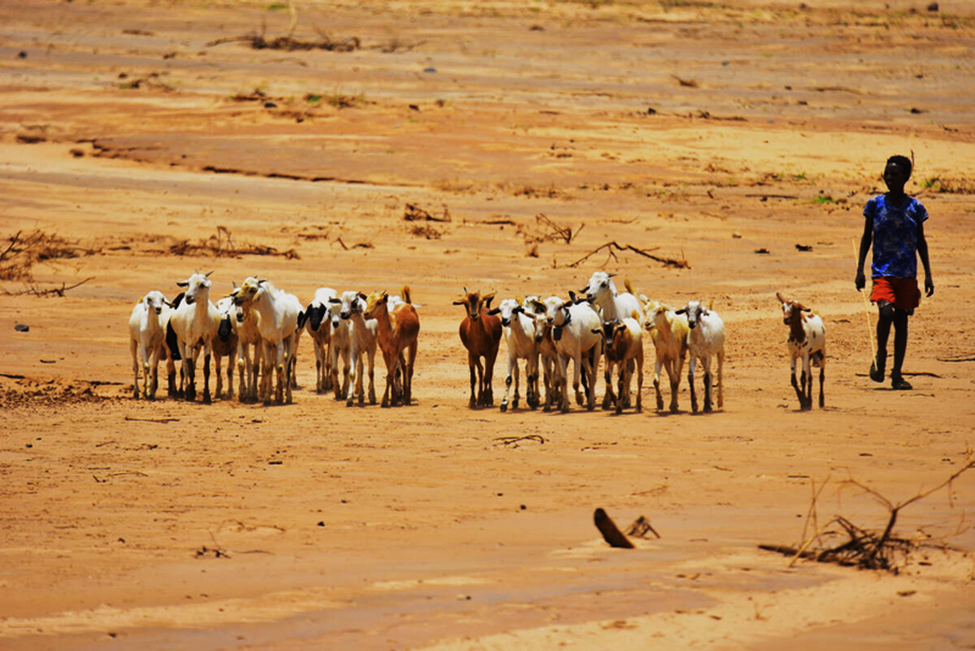 El Ni&ntilde;o is coming. Here is where the risks to agriculture are highest