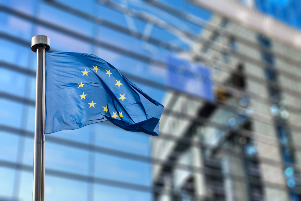 European Commission Authorizes GM Sugar Beet and Renews GM Maize for Food and Feed Use