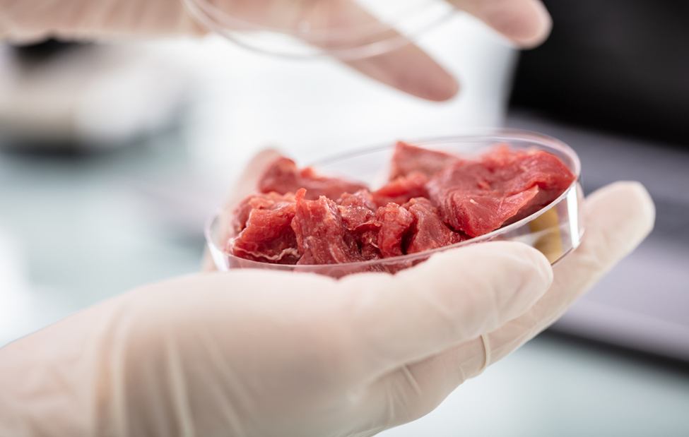 Experts Highlight Hybrid Foods as Meat Alternatives