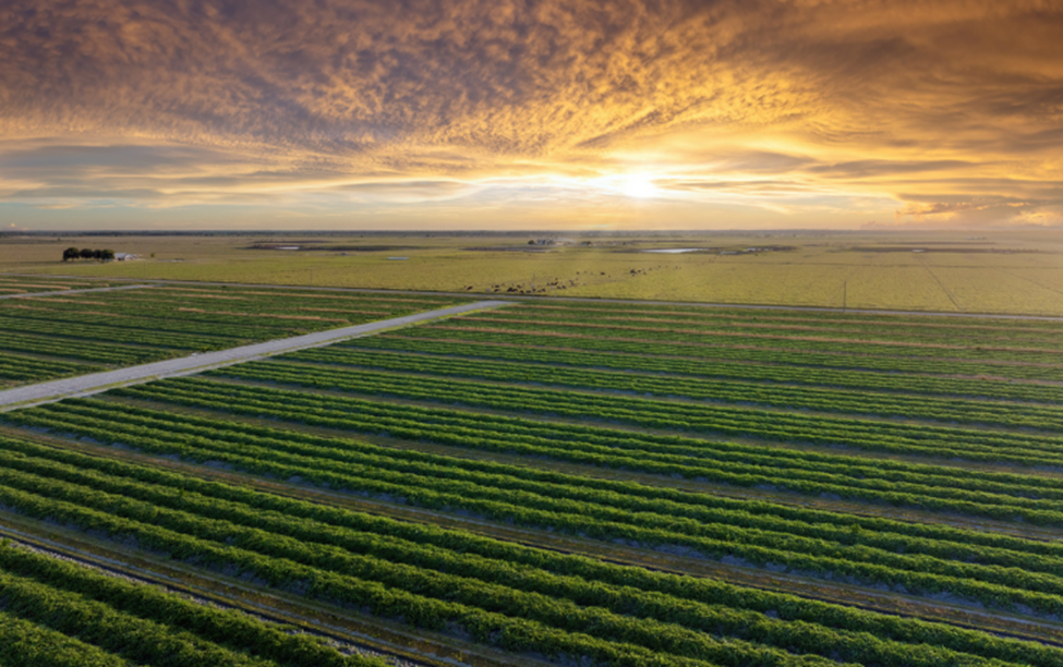 Experts Highlight the Use of Precise Genetic Approaches to Develop Climate-Resilient Crops