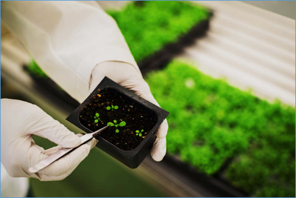 Experts to Level-Up Insecticide Resistance of Crops with iJAZ