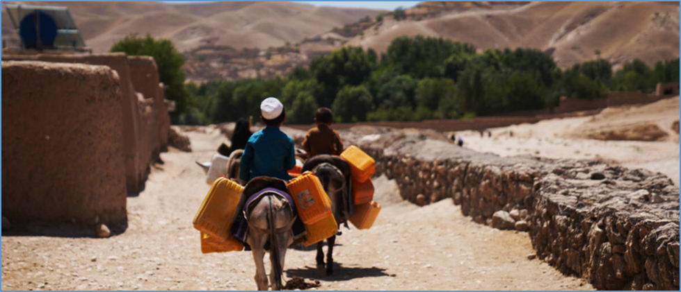  Extreme heat is pushing agrifood systems to the brink worldwide