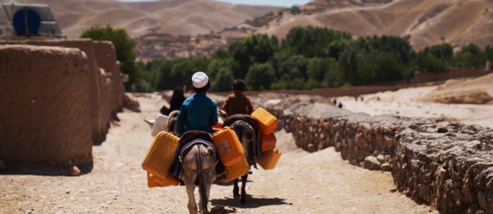 Extreme heat is pushing agrifood systems to the brink worldwide