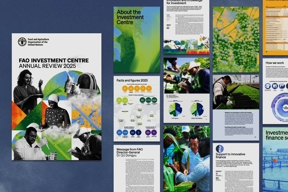 FAO Investment Centre: Turning potential into progress