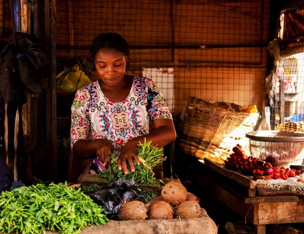 FAO Report Calls for Urgent Coordinated Financing to Address Agrifood Challenges in Africa
