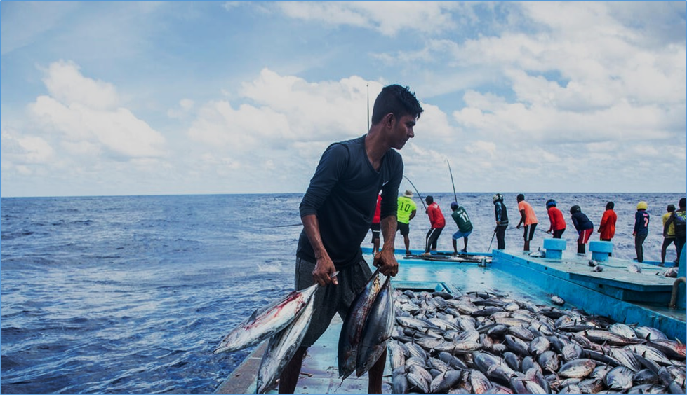 FAO welcomes new treaty on safeguarding marine biological diversity in international waters