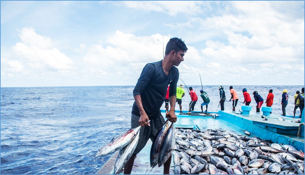 FAO welcomes new treaty on safeguarding marine biological diversity in international waters