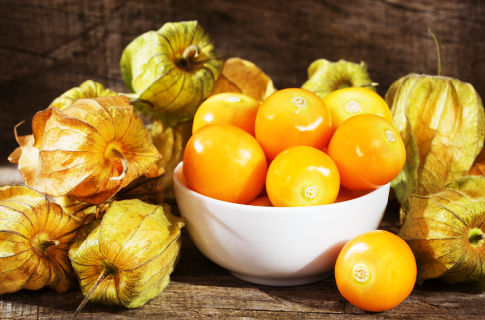 Gene Editing Unlocks Commercial Potential of Goldenberry