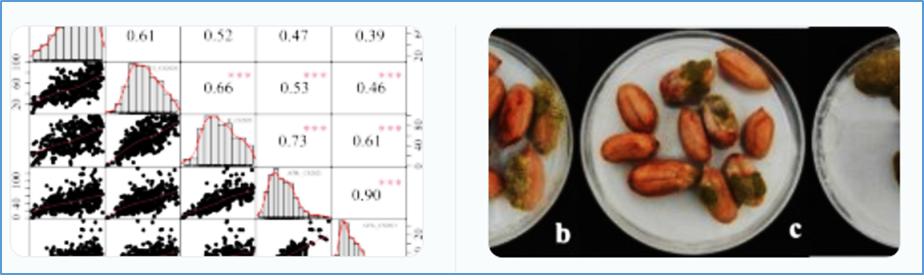 Genetic mapping and diagnostic marker development for a co-localization interval conferring resistance to both Aspergillus flavus infection and aflatoxin production in peanut