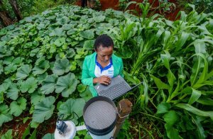 Climate Security: The Role of Data and Disruptive Technologies for Climate Security