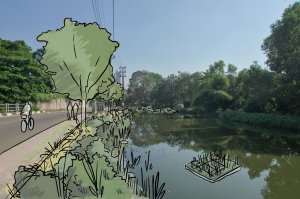Urban wetlands and the built environment: how Colombo&rsquo;s green spaces enhance city life