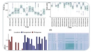 Genetic gains in IRRI`s rice salinity breeding and elite panel development as a future breeding resource