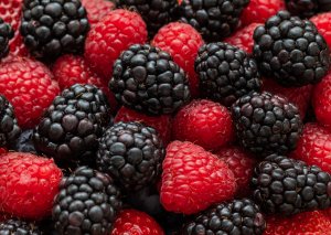 Nine Gene-edited Berries from Pairwise Receive USDA Confirmations