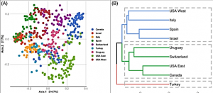 Global analysis of the apple fruit microbiome: are all apples the same?