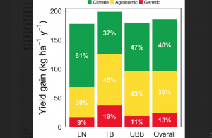Climate and agronomy, not genetics, underpin recent maize yield gains in favorable environments