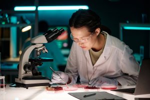 A Non-allergenic Wheat Protein Improves the Growth of Cultivated Meat
