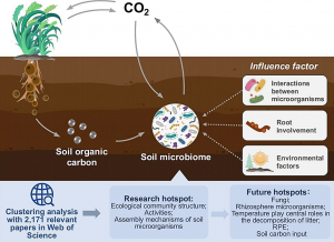 Unveiling the crucial role of soil microorganisms in carbon cycling: A review