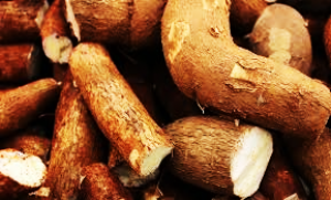 Genome-wide association studies unveils the genetic basis of cell wall composition and saccharification of cassava pulp