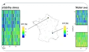 Different wheat loci are associated to heritable free asparagine content in grain grown under different water and nitrogen availability