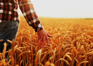 Defra Secretary Confirms Timetable for Precision Breeding Act